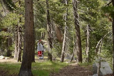 DSC_2942 (Large).JPG